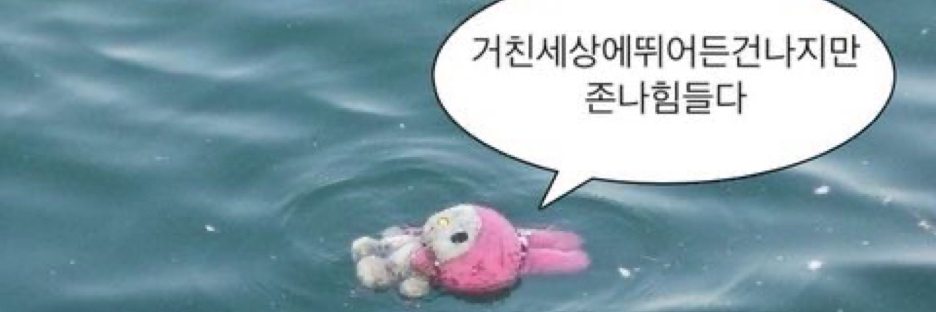 꼬덕님