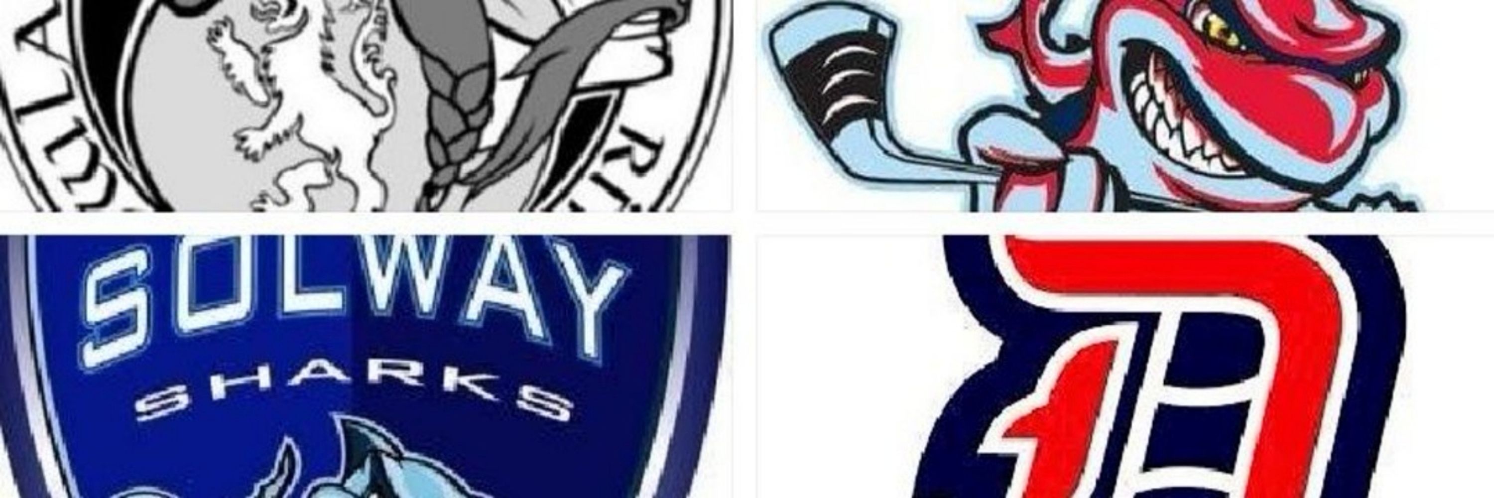 Dumfries Ice Hockey News & Scores
