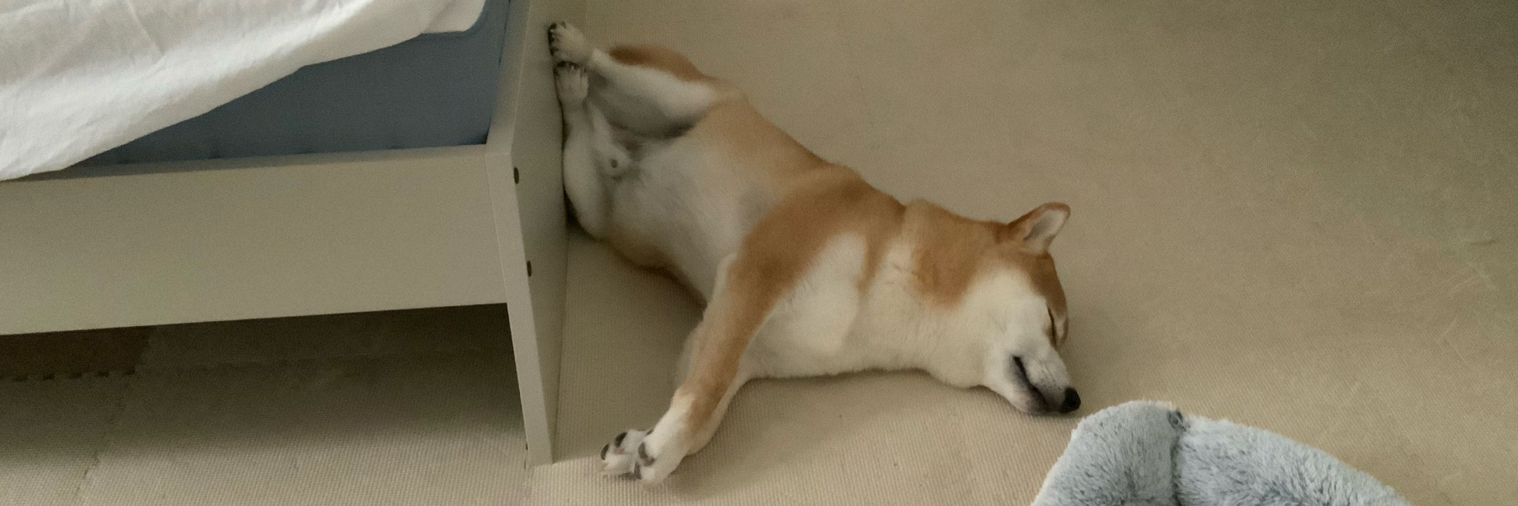 出水