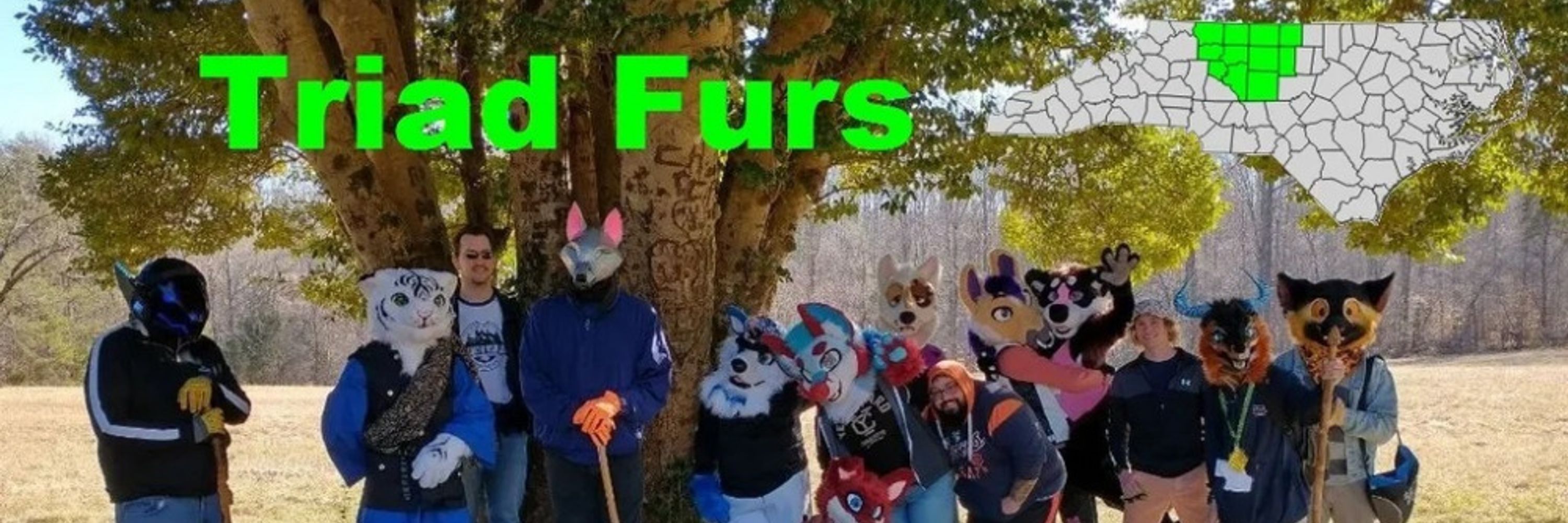 Triad Furs