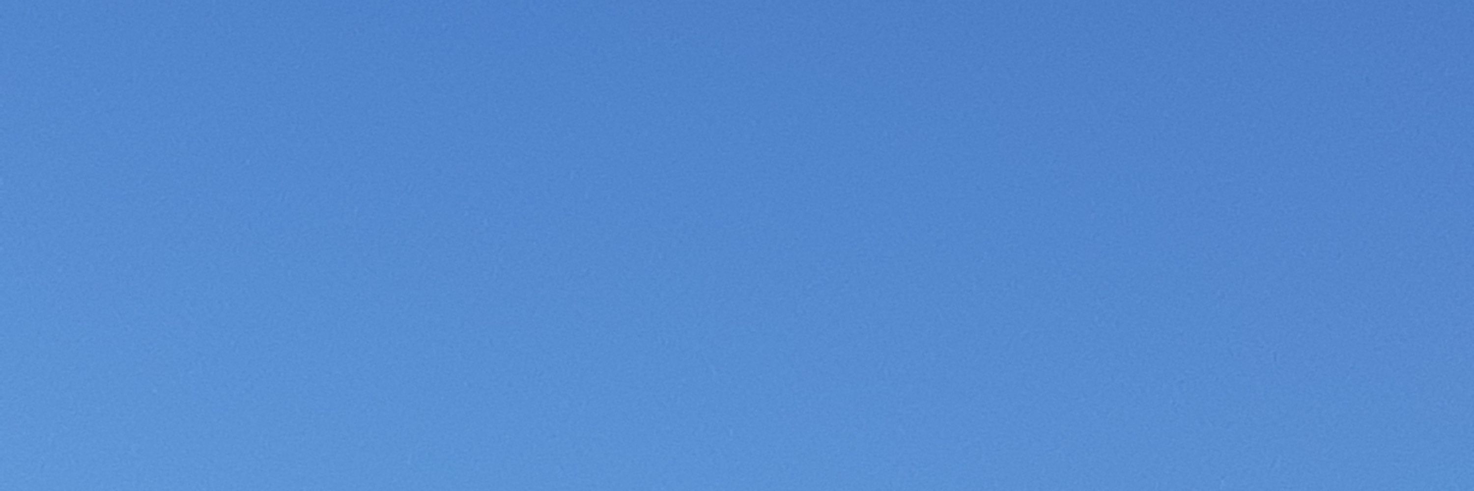 ツンつん