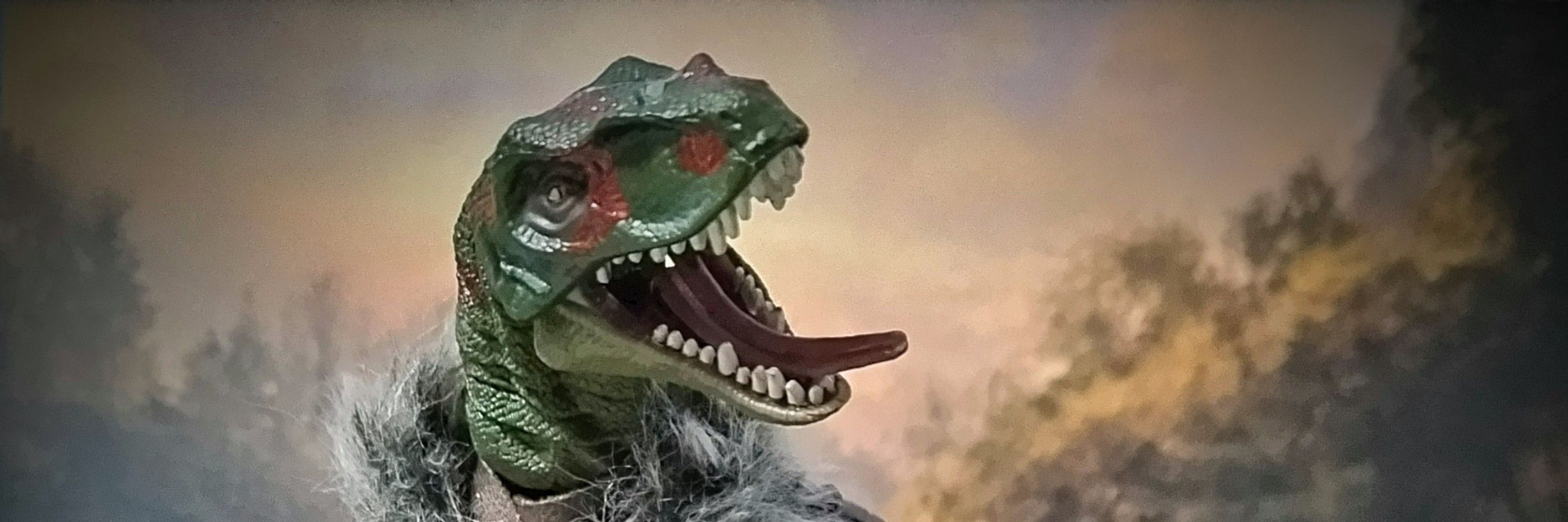 マンバ科