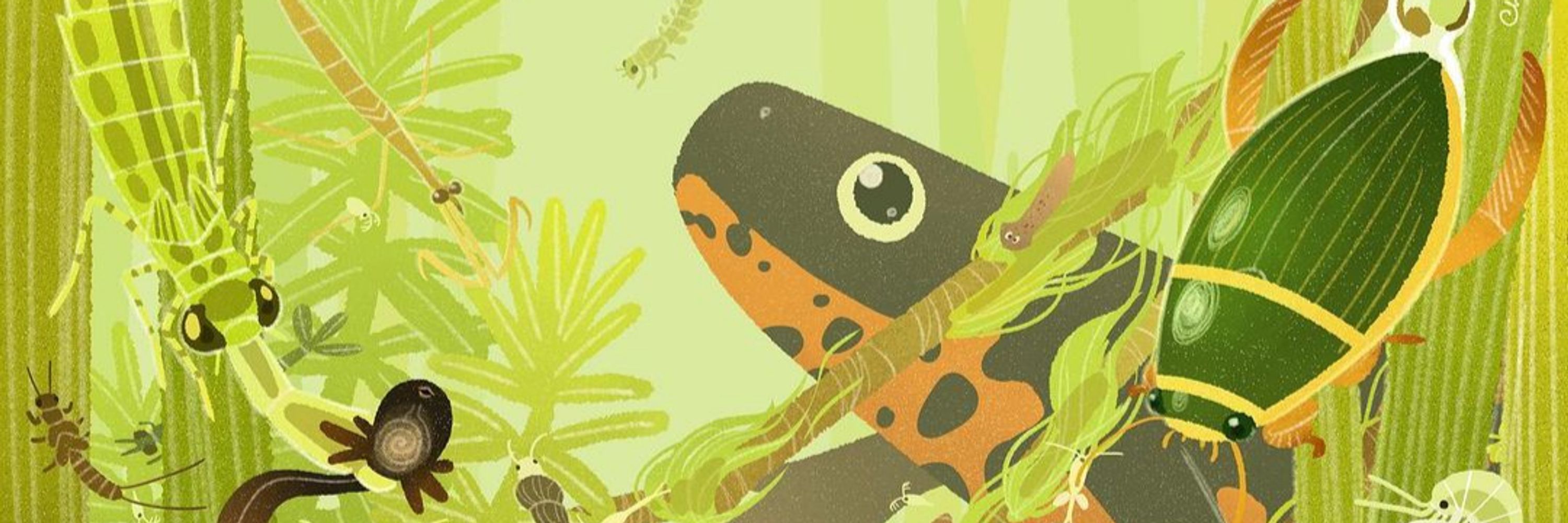 Paulino🦎