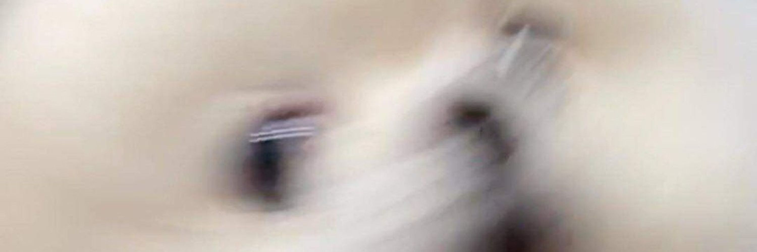Bubi_TL