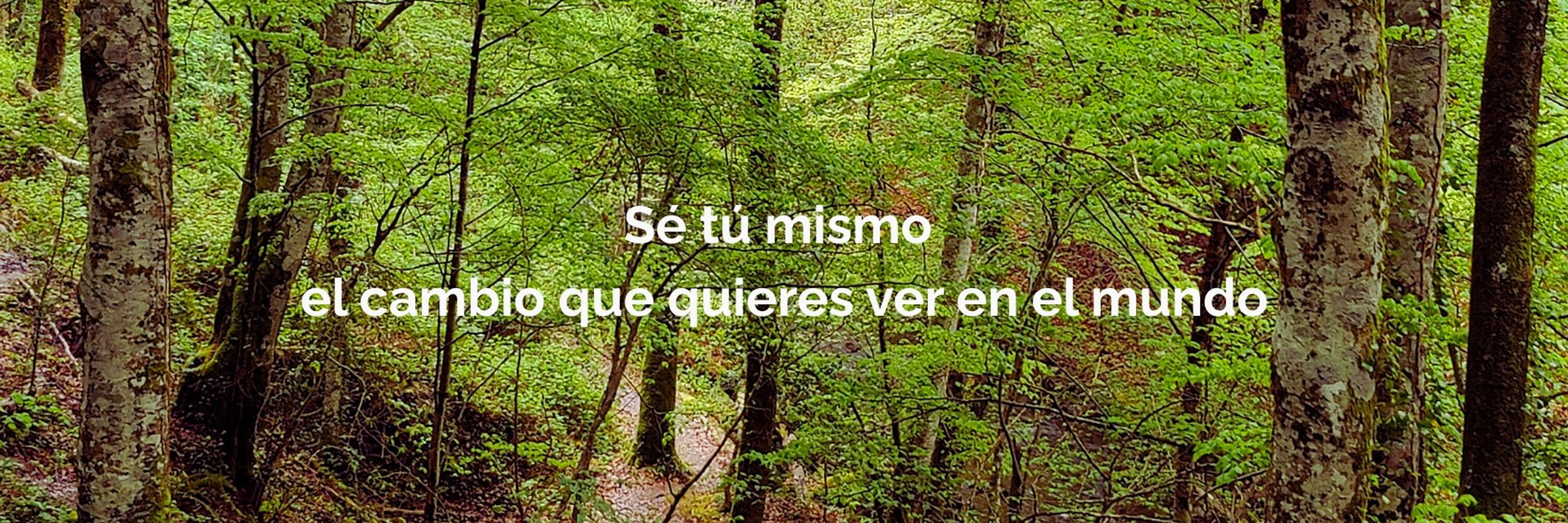 Asociación Española de Educación Ambiental