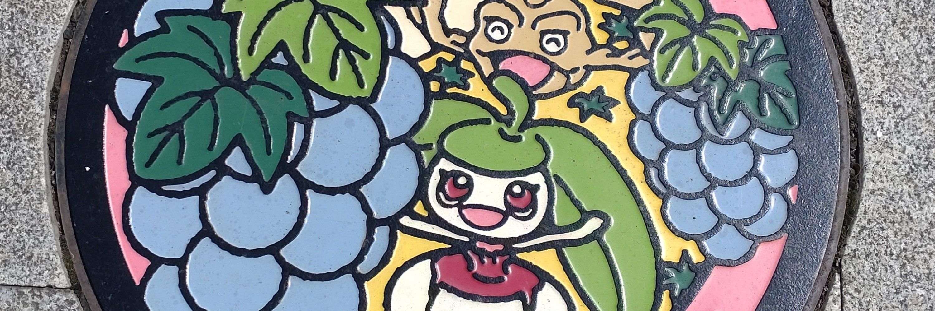 yasuyo KANIE