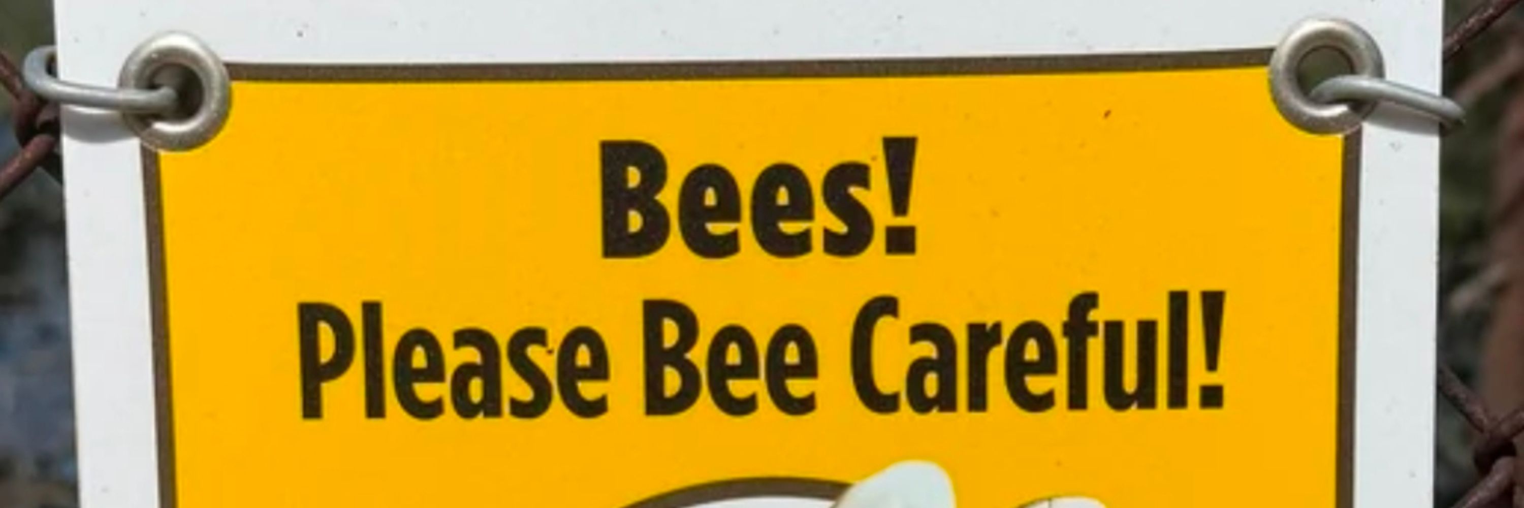 Danger, Bees!
