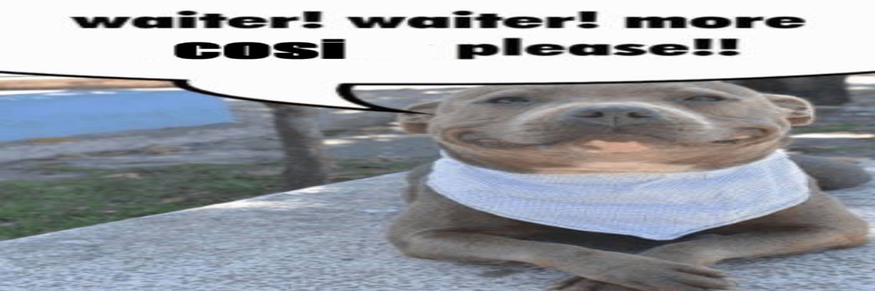 hol