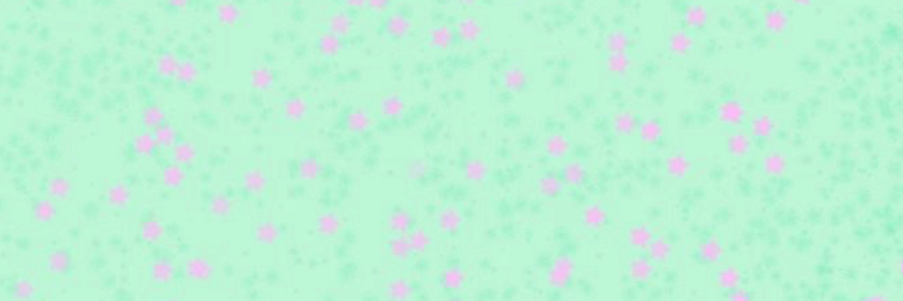 DISCO / QUEENIE 🍬