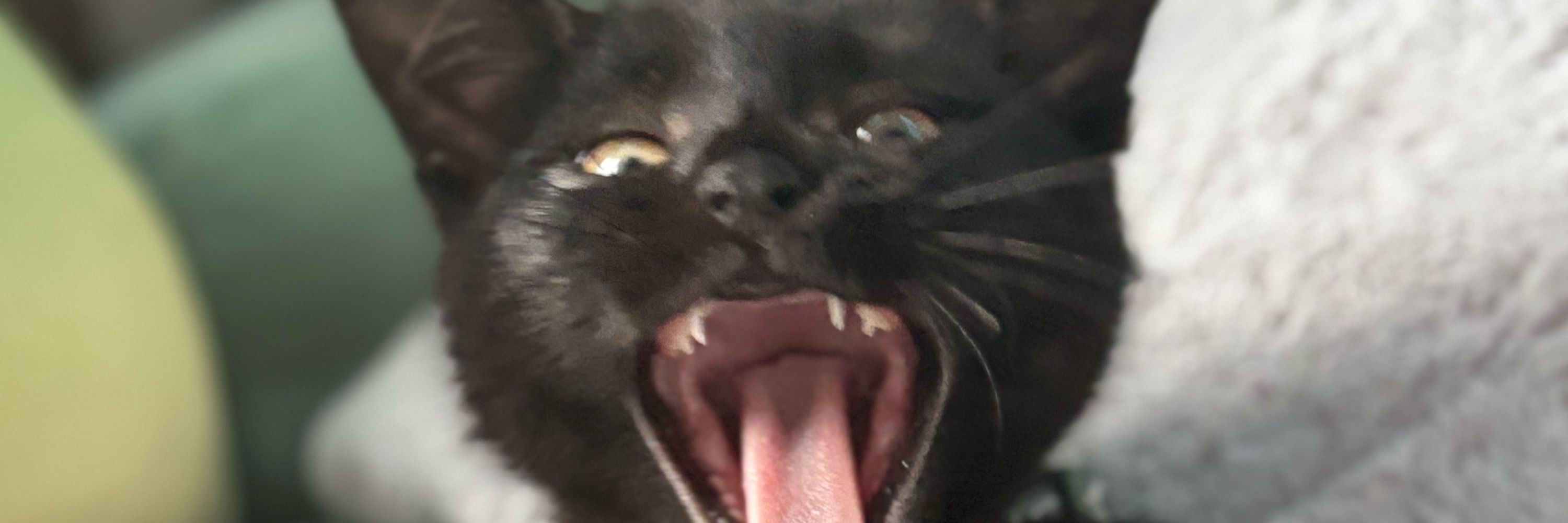 max n.