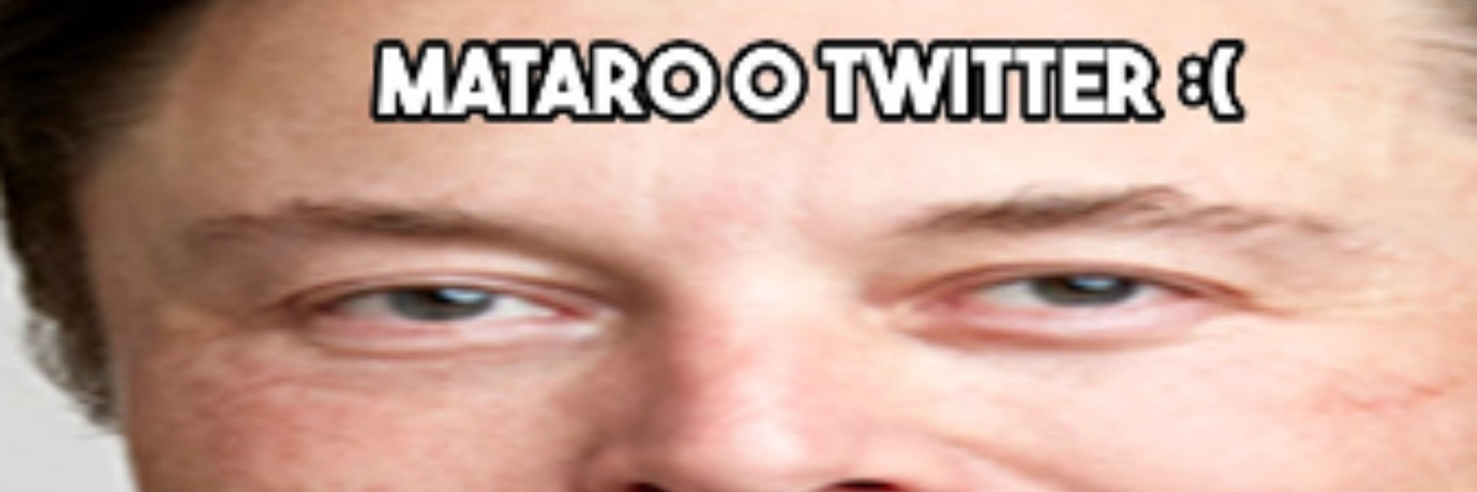 Anota, anota