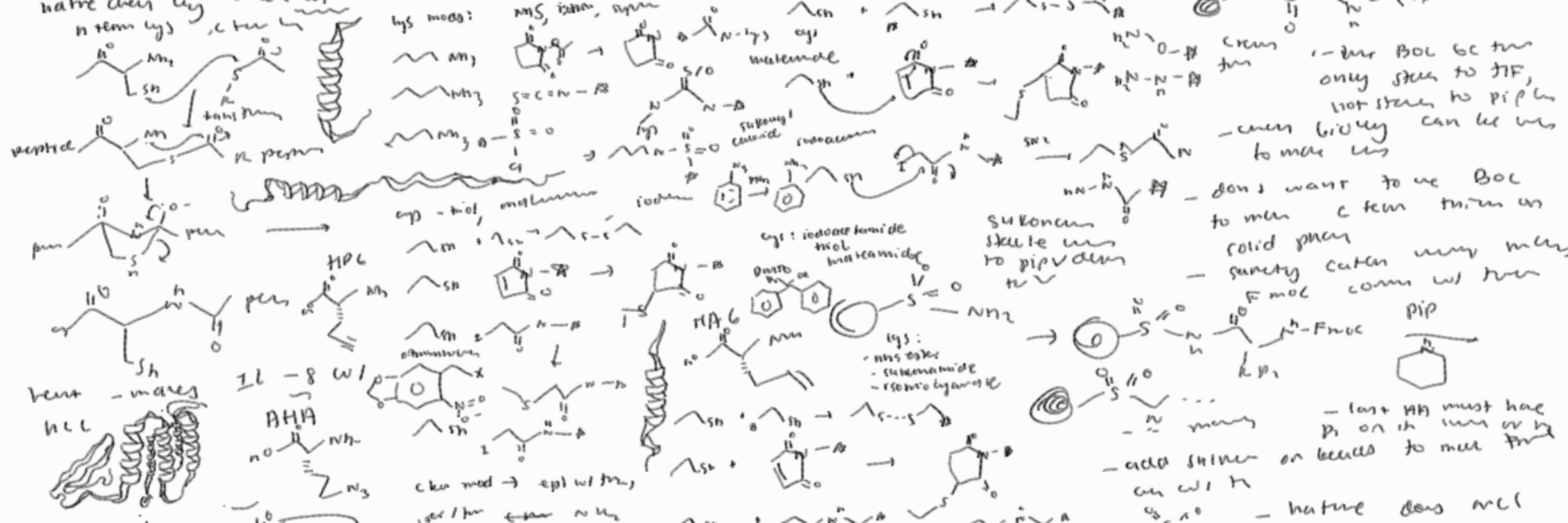 Chem Bio Undergrad
