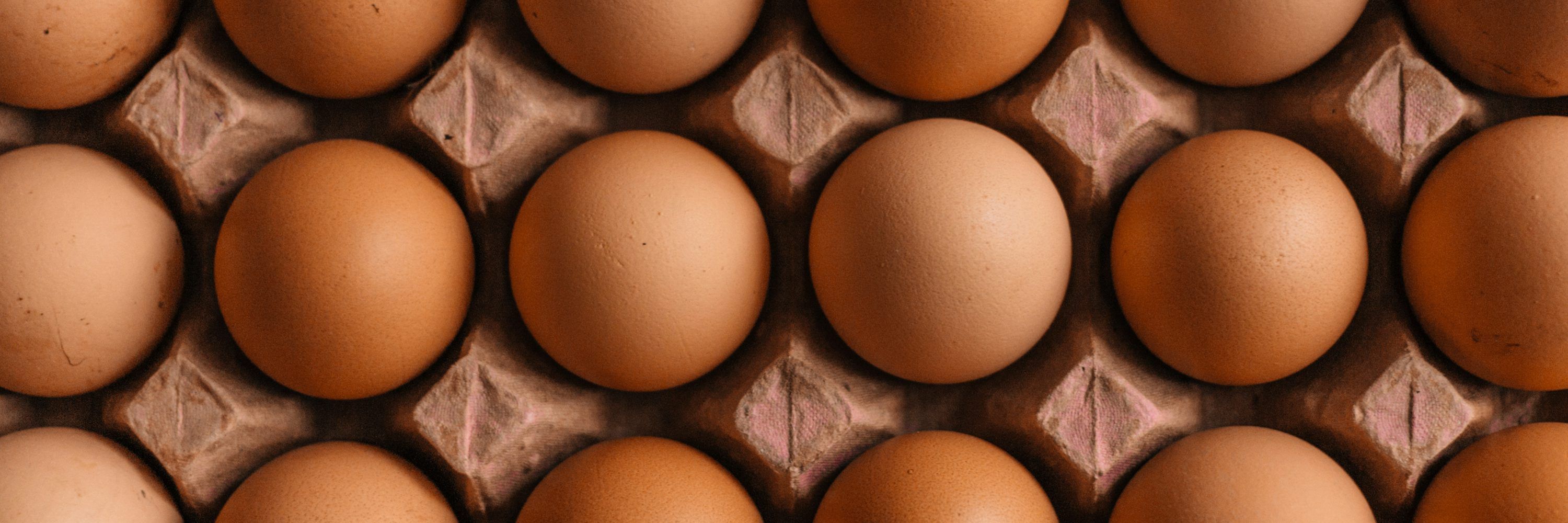 Eggpilled Eggvoter