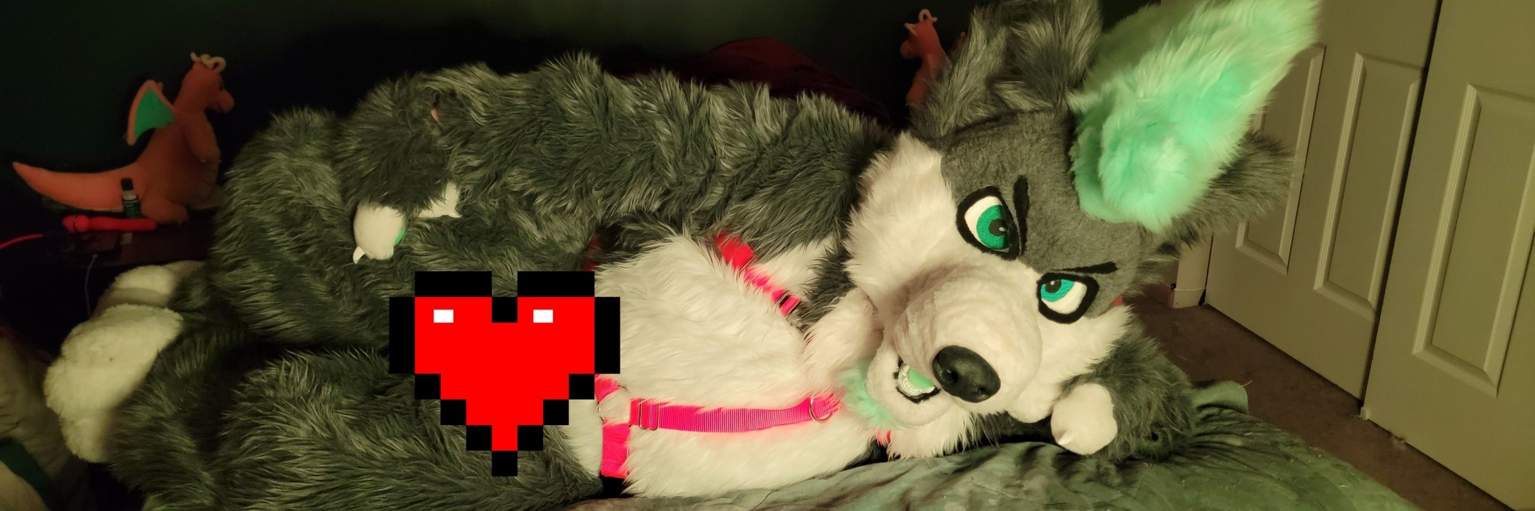 🔞 Knotty Wuff Deacon 🔜 TFF