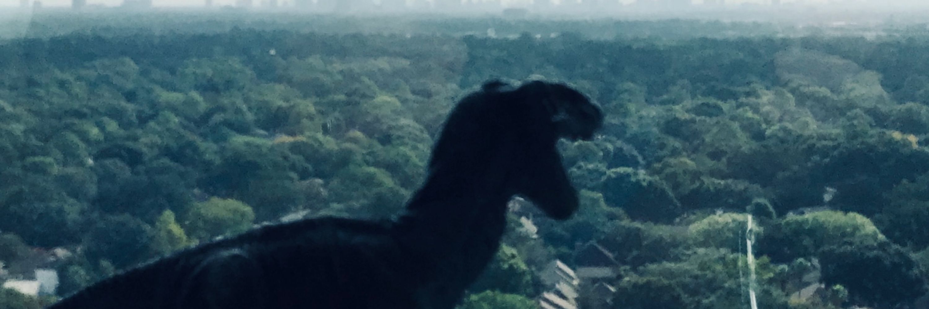 Tyranalysis Rex