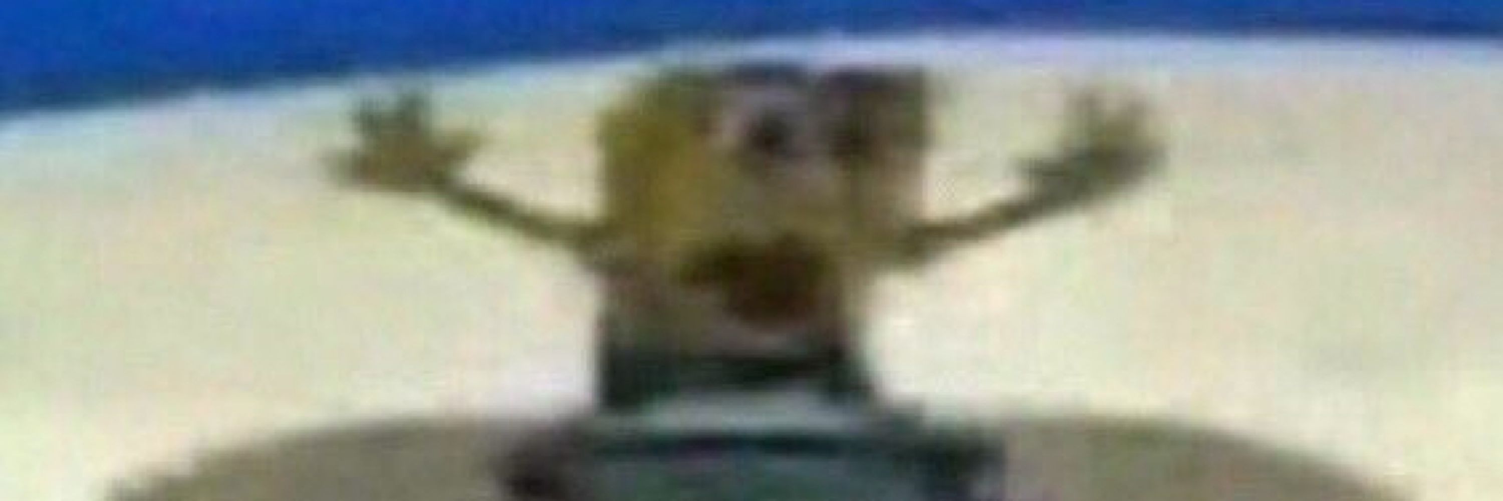 veebuck