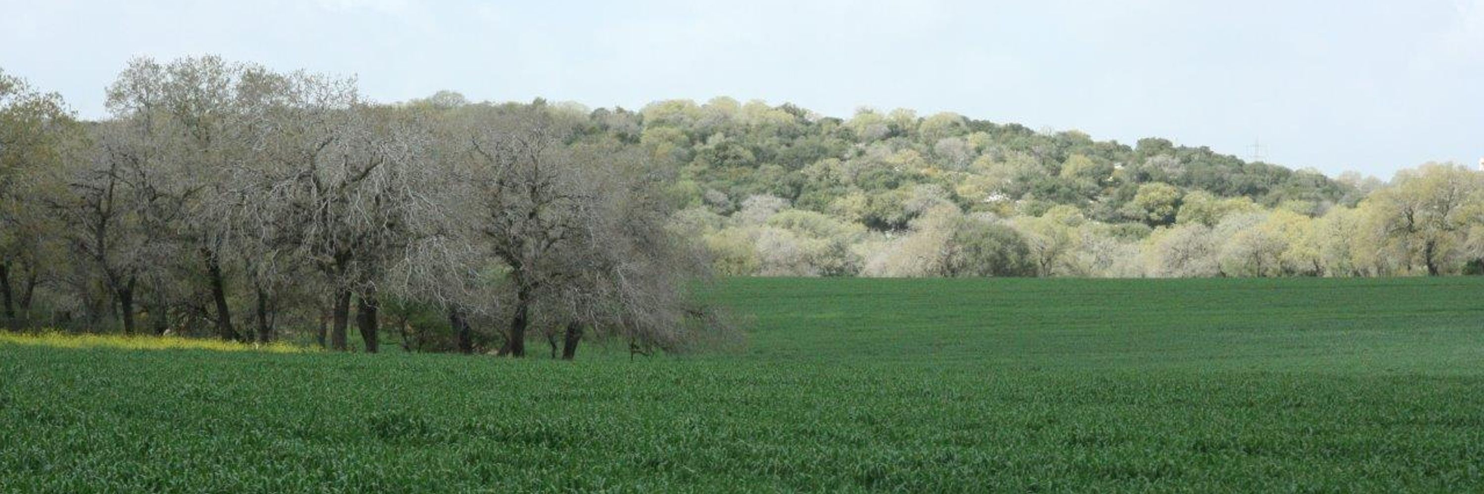Sadeh Agroecology Lab