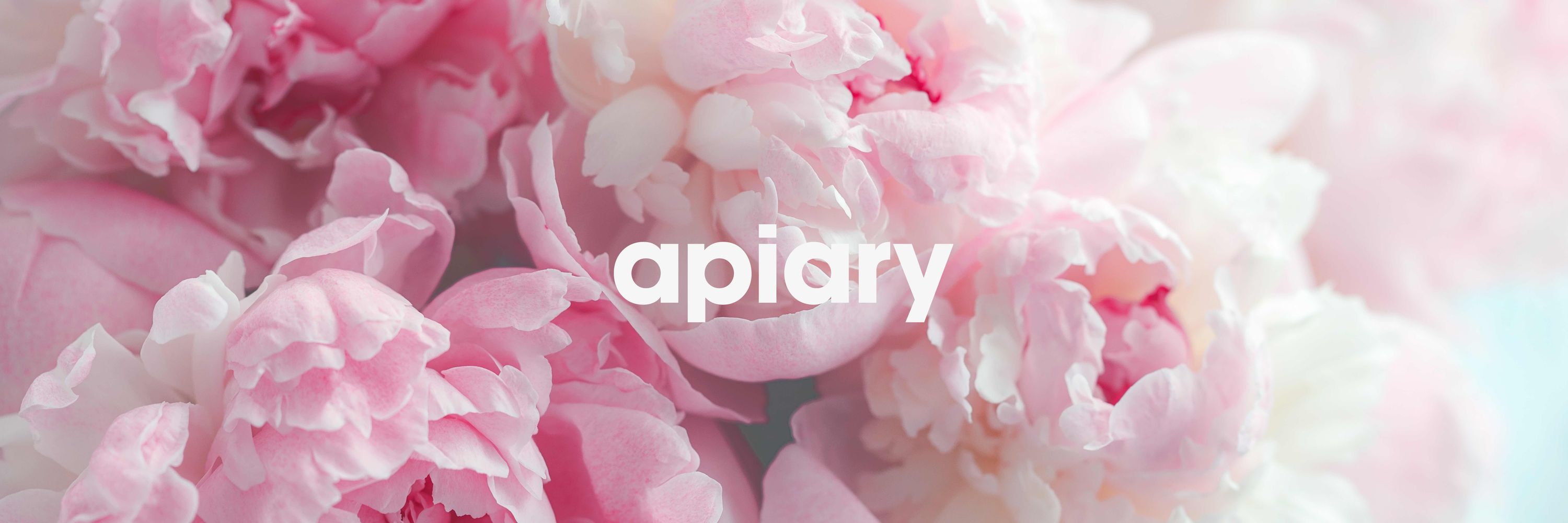 Apiary for Practical Support