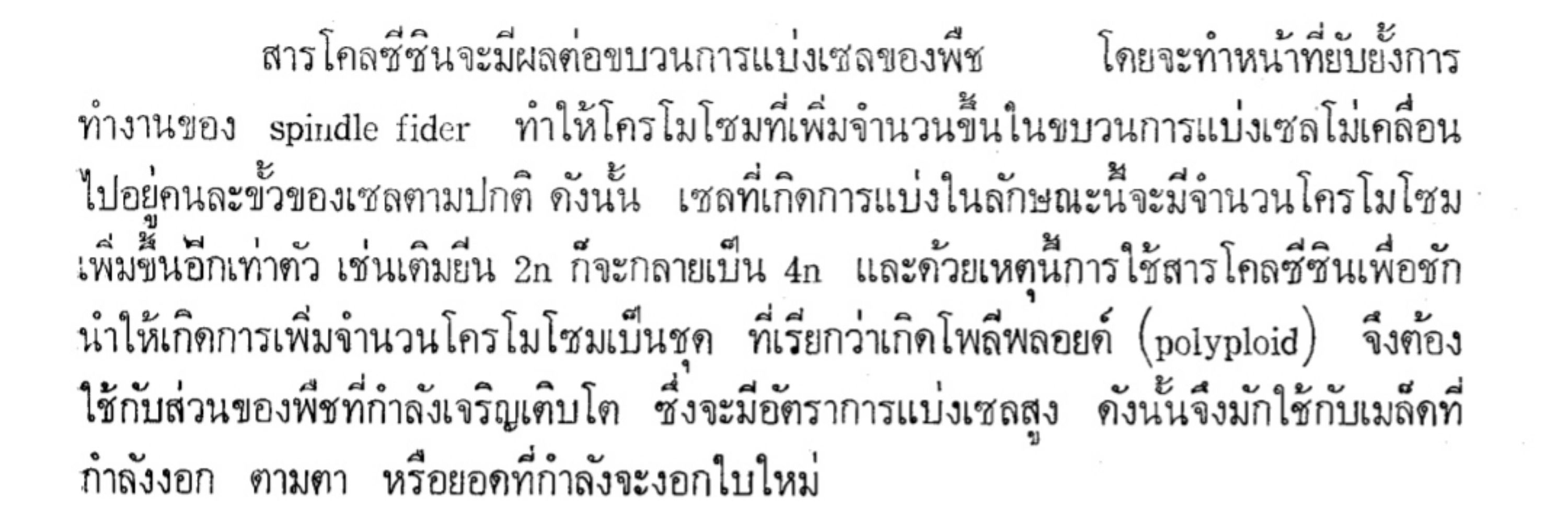 น้องรีน