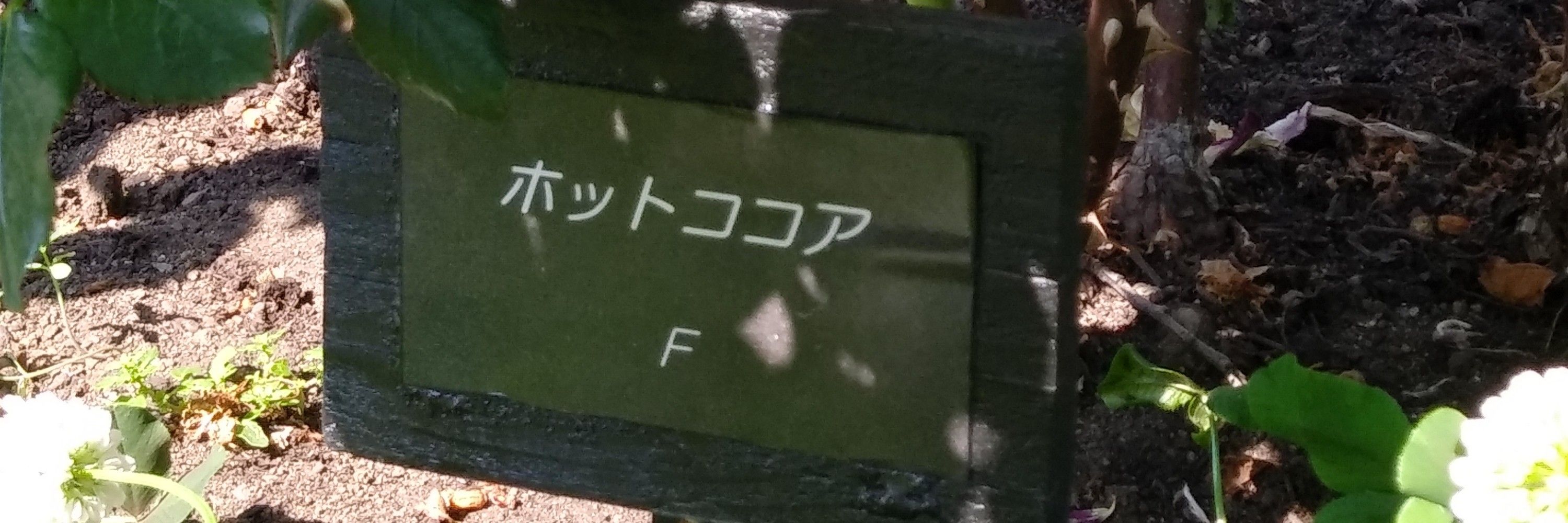 竹間
