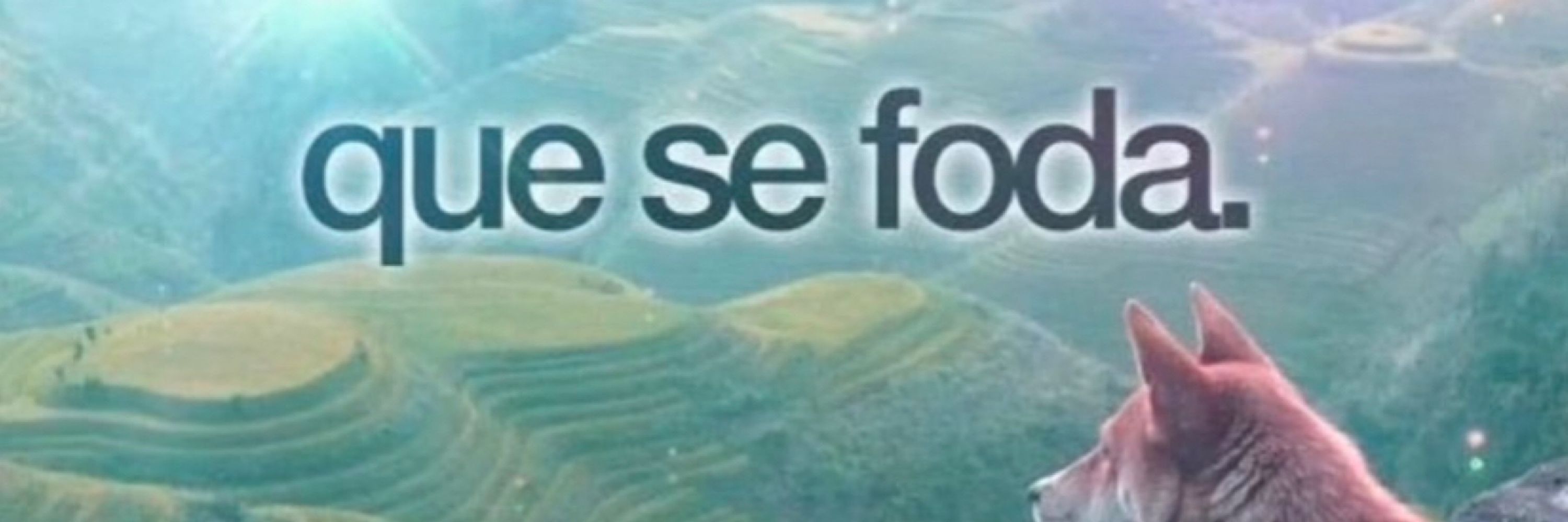 sof :)