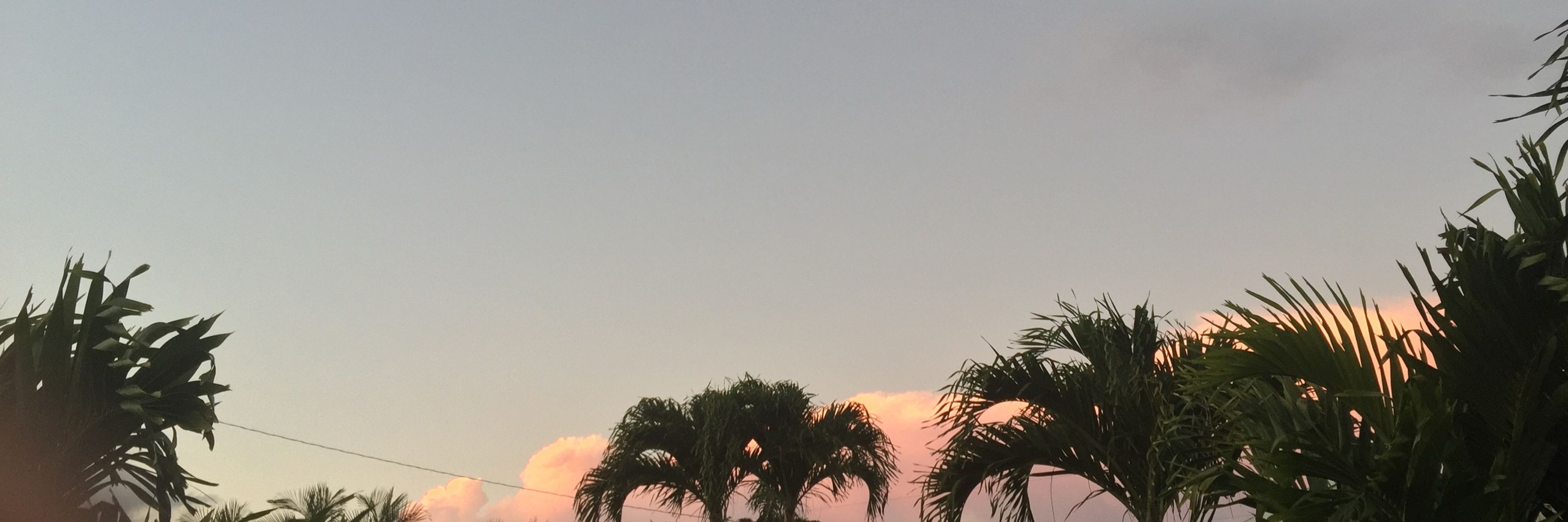 𝐒𝐕 ✧
