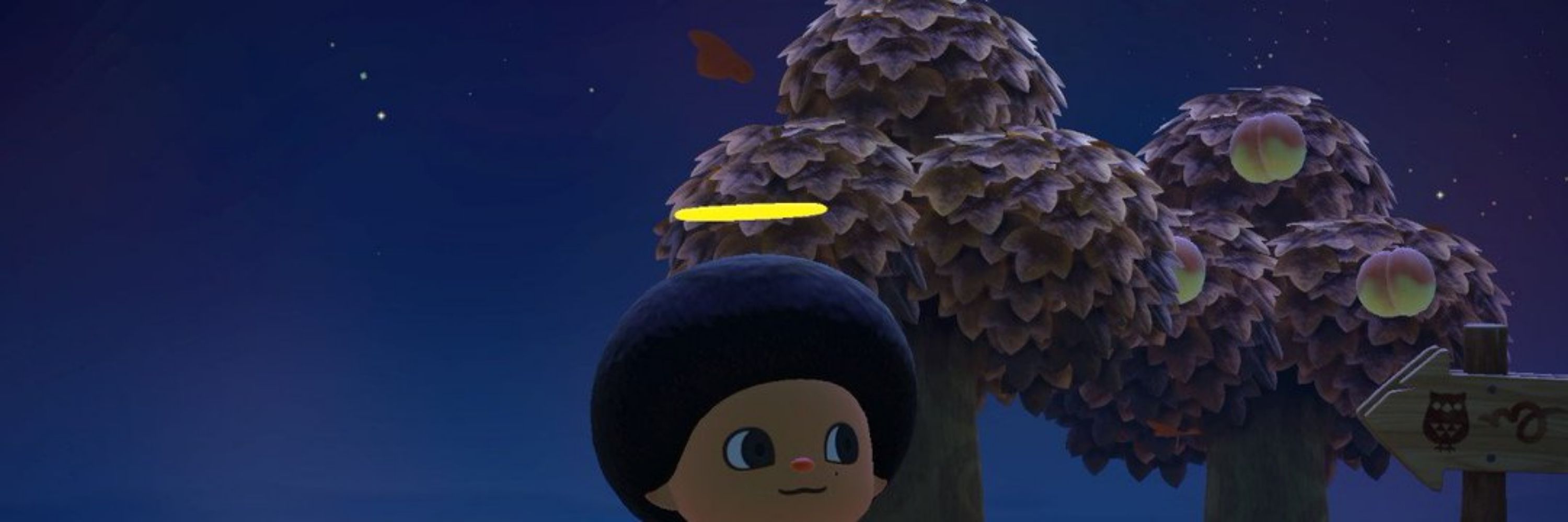King_Flowers