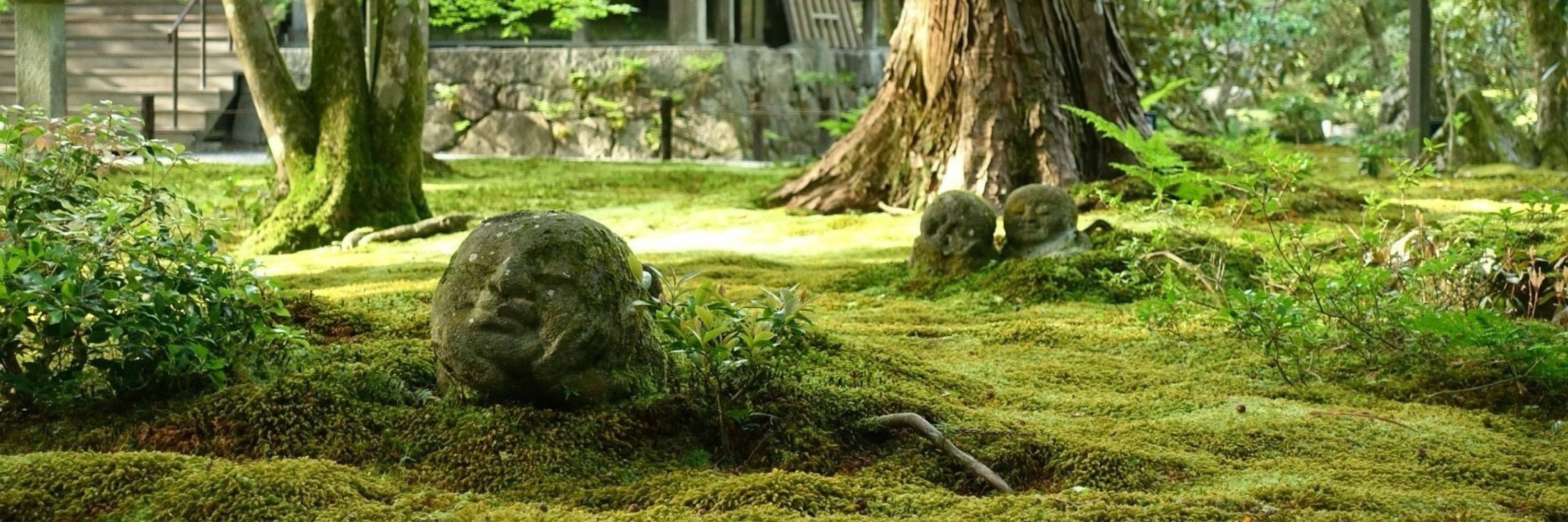 てら