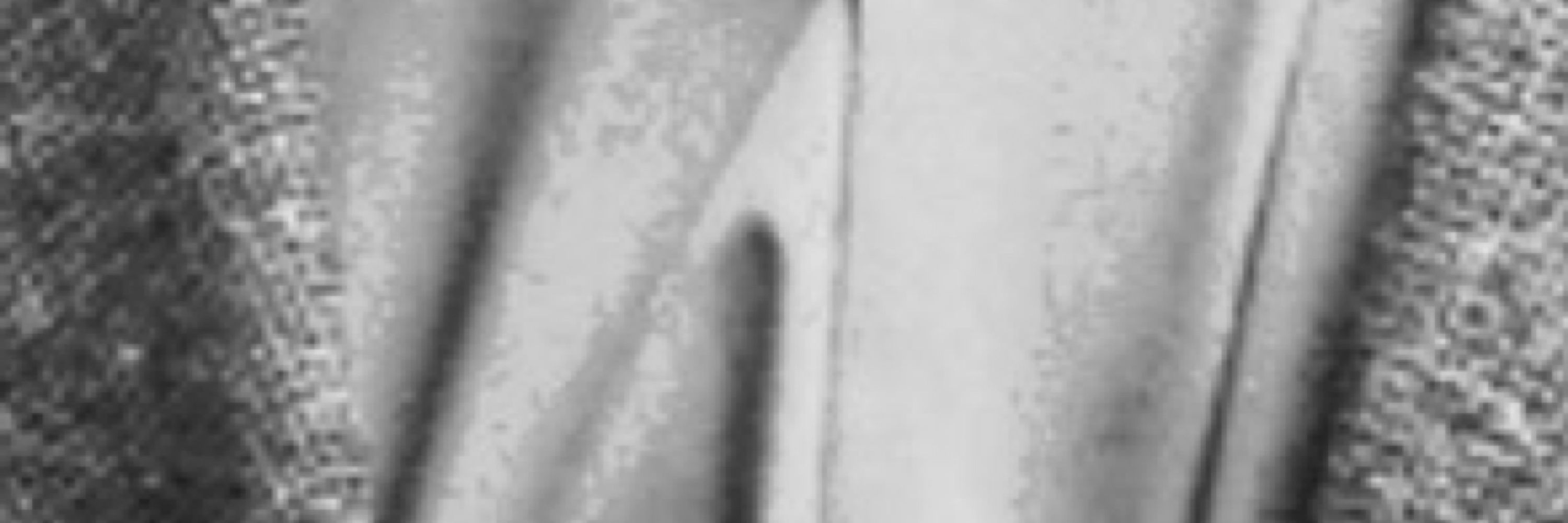 Rob C