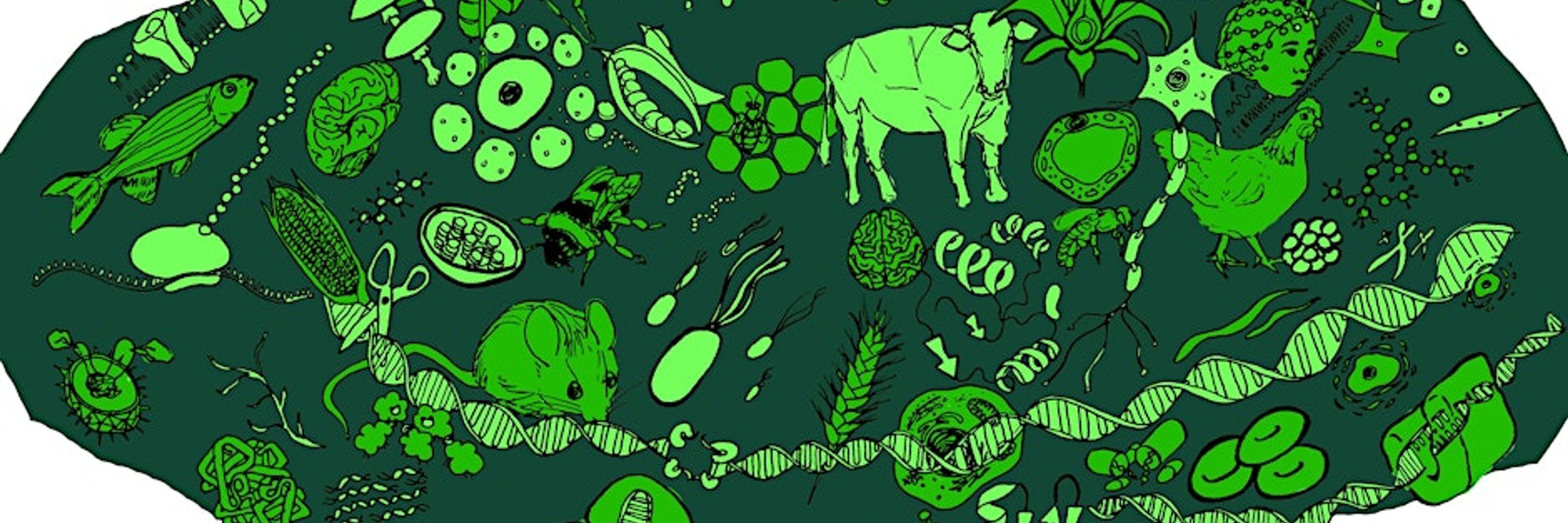 South West Biosciences Doctoral Training Partnership (SWBio DTP)