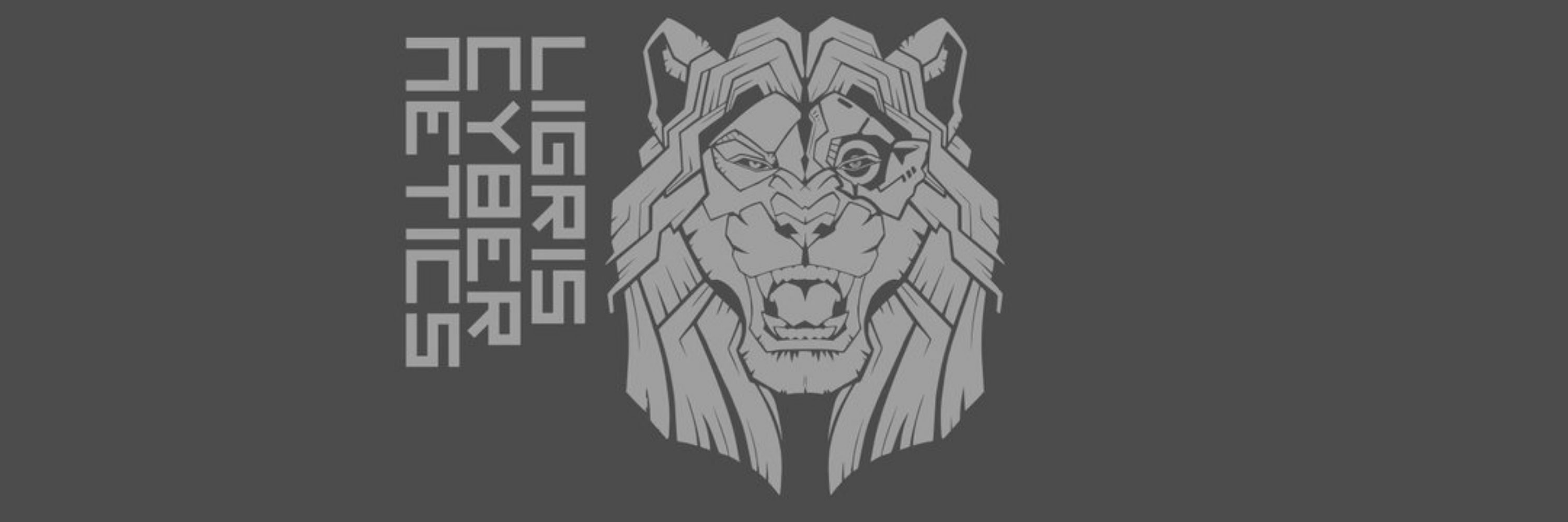 Ligris Cybernetics