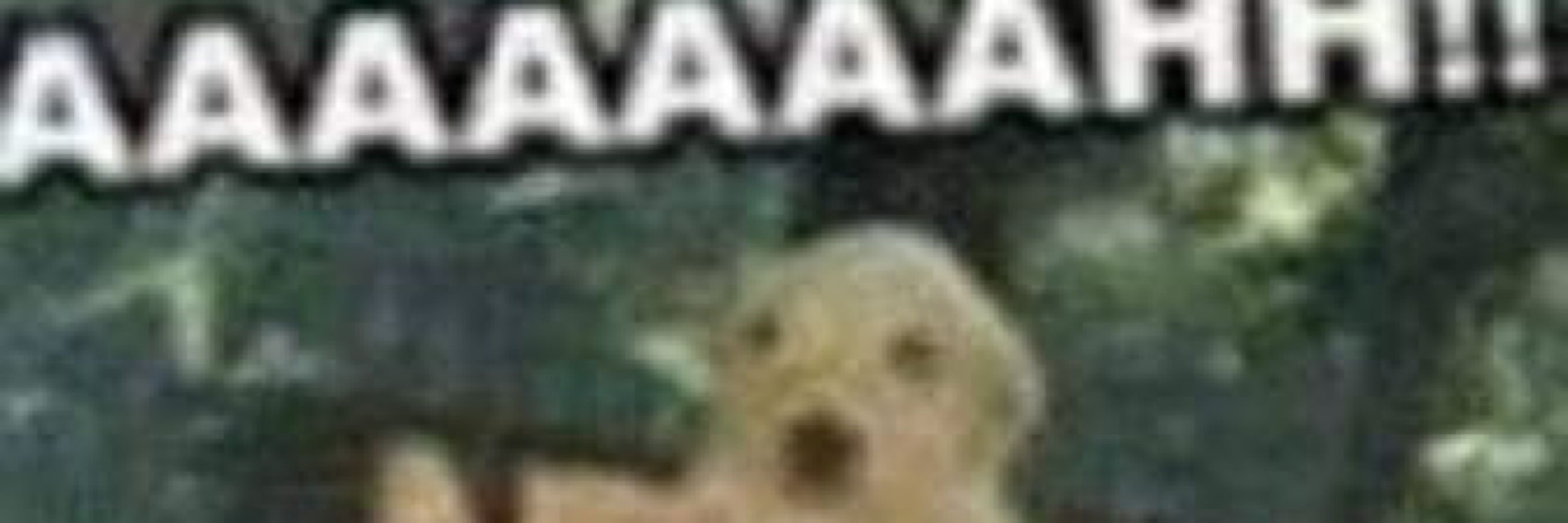 Kin