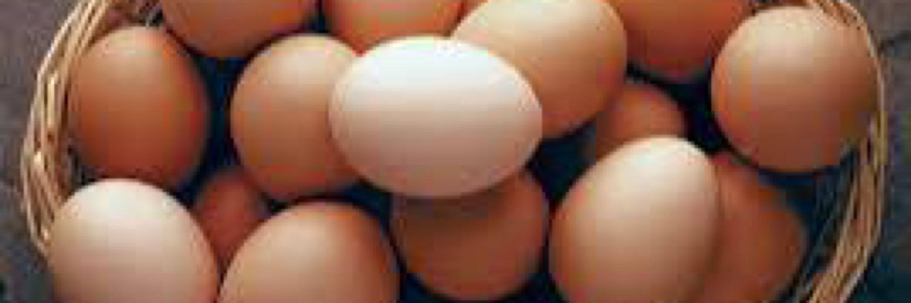 Trump’s Eggs