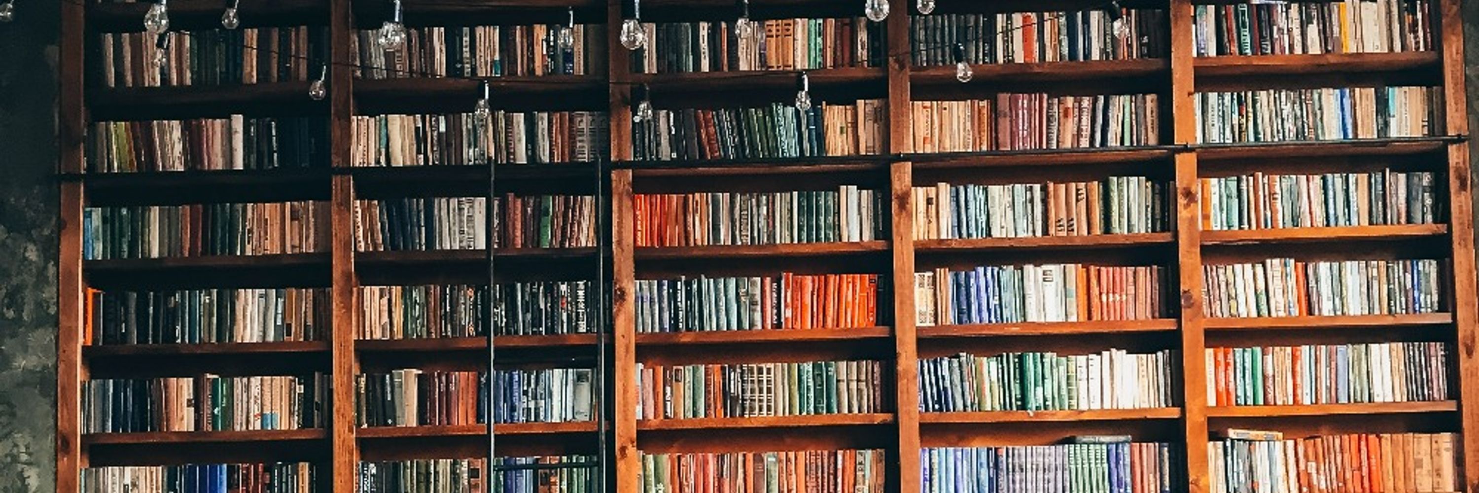 Margot Belet, Literary Agent 📖🧙‍♂️🕵️‍♀️🐯