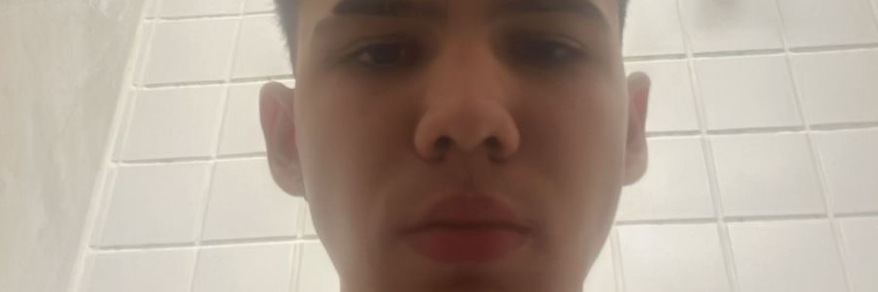 Gois