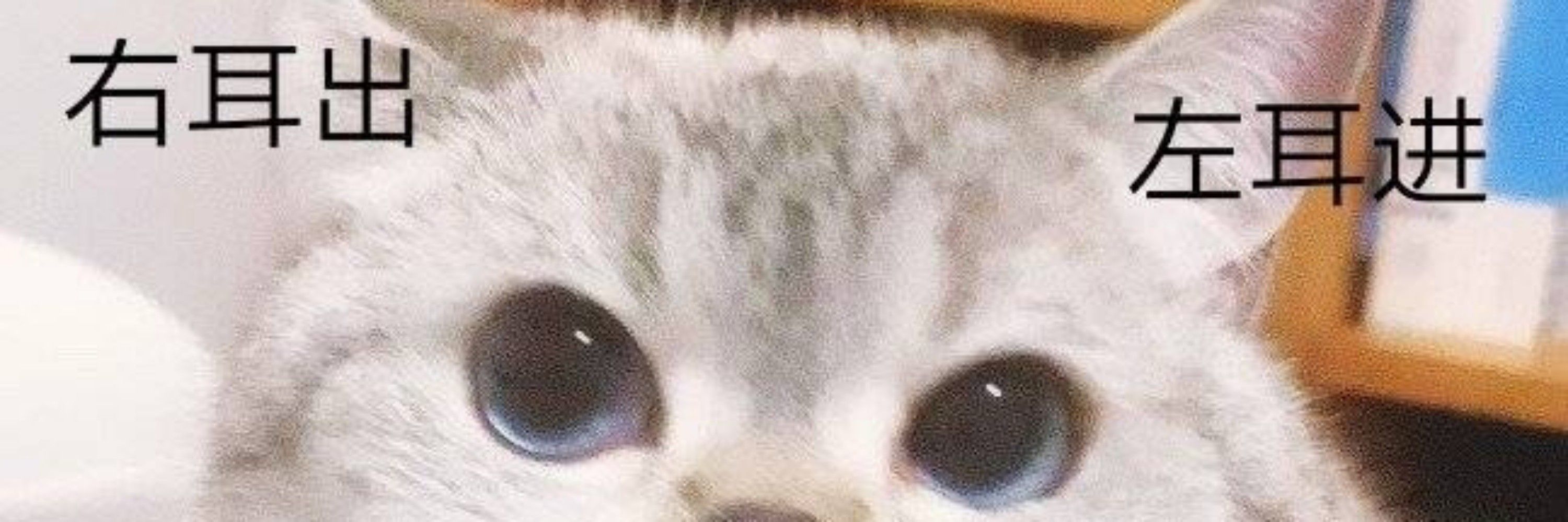 小渡不是呆子