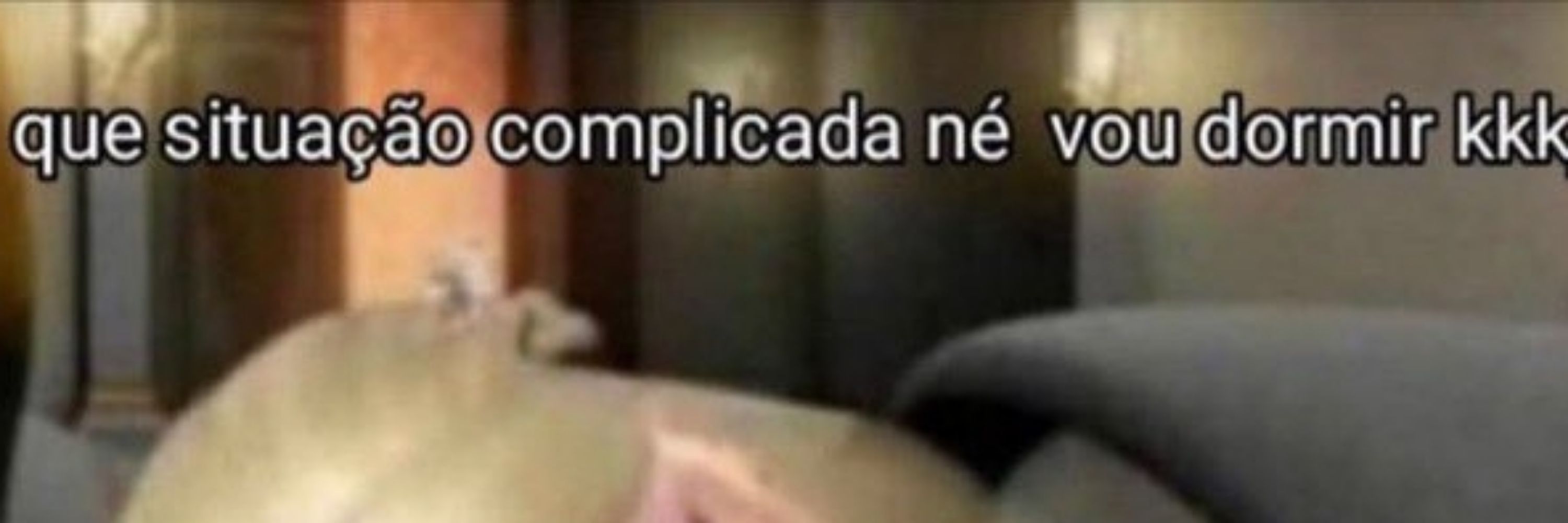 Sagiotário 