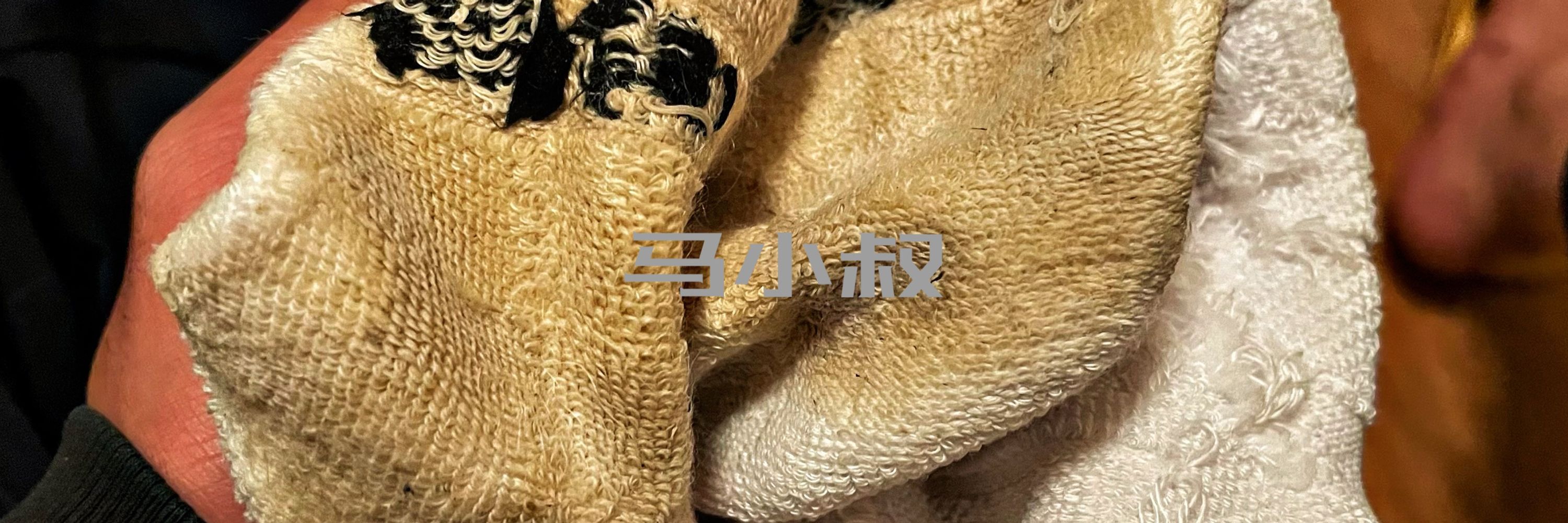 反差男教师👩‍🏫