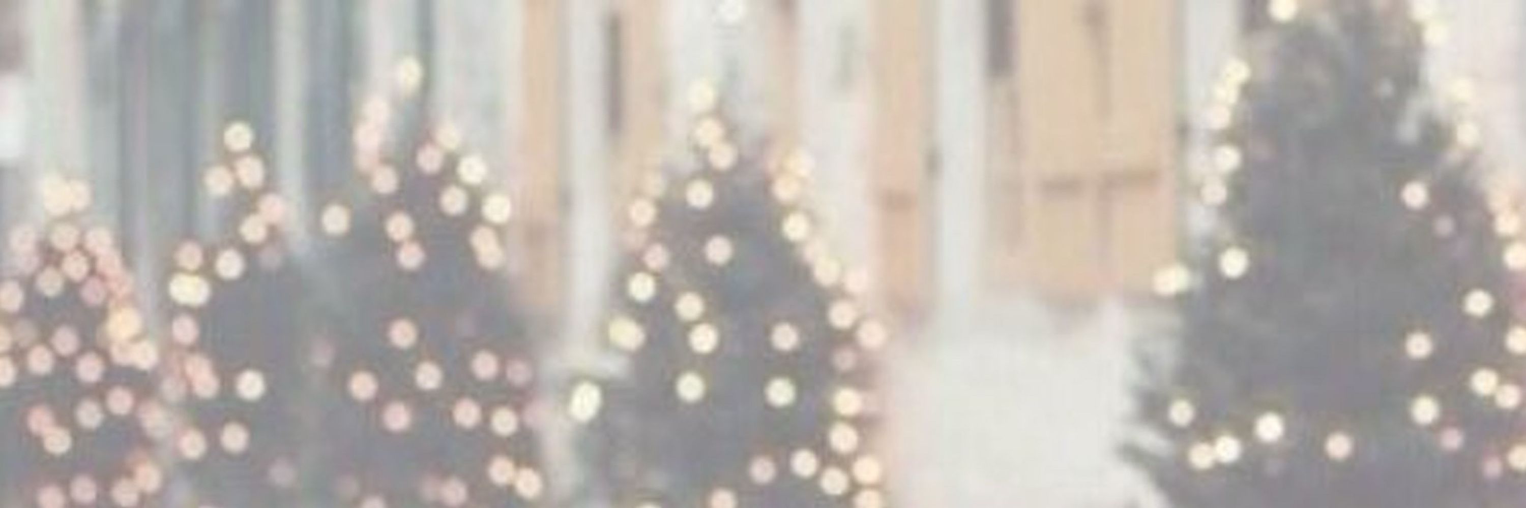 lauren 🤍🎄
