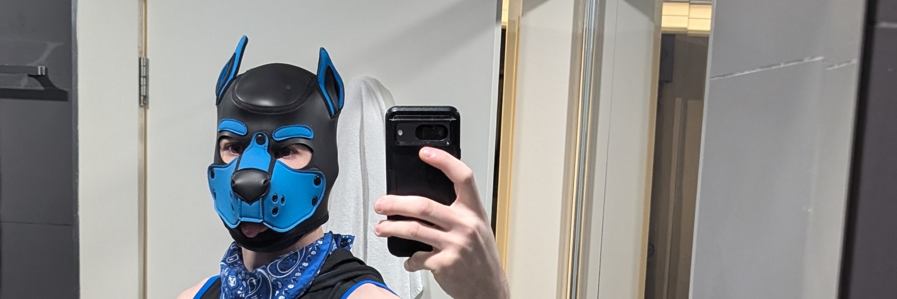 Pup cobalt