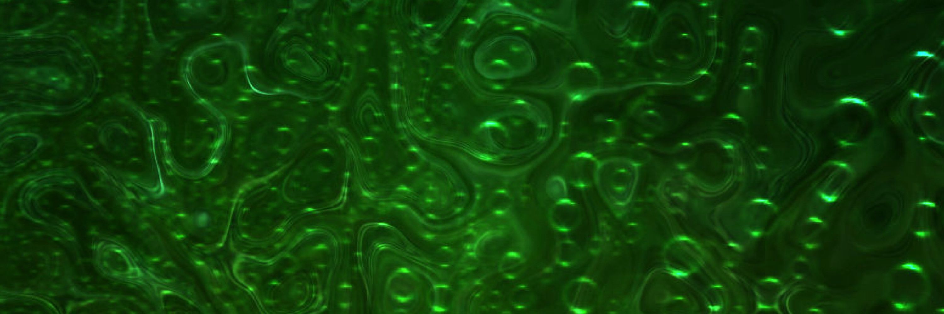 EctoSpaceCadet