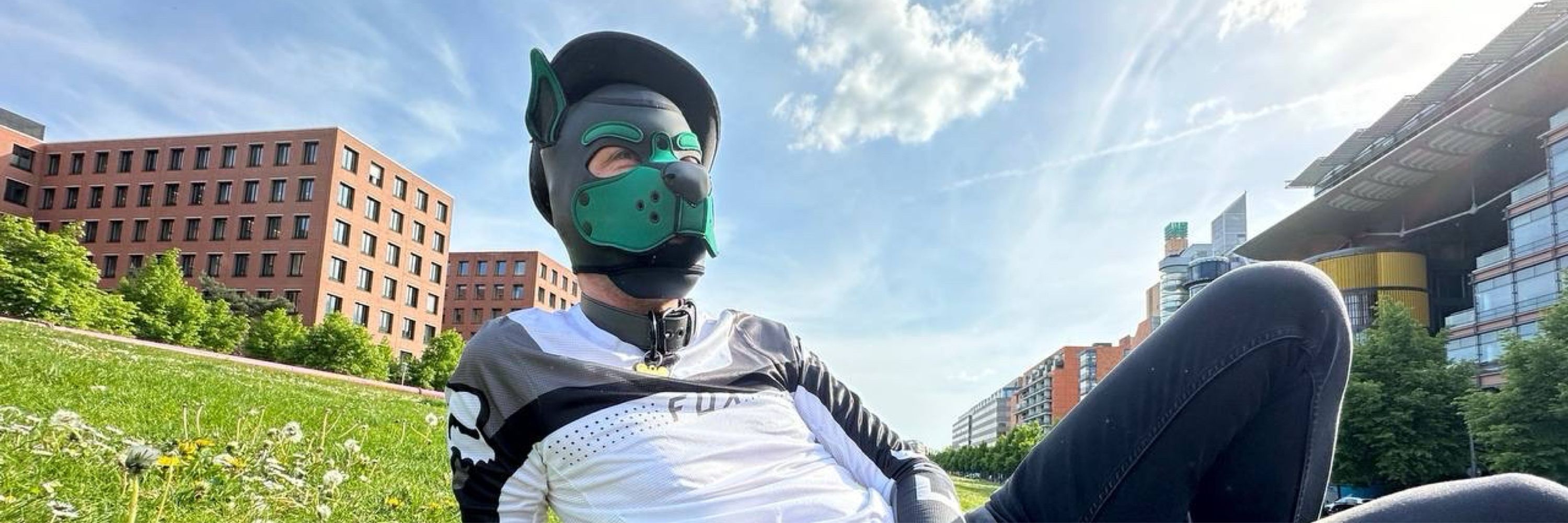Puppy_Plattenrocker