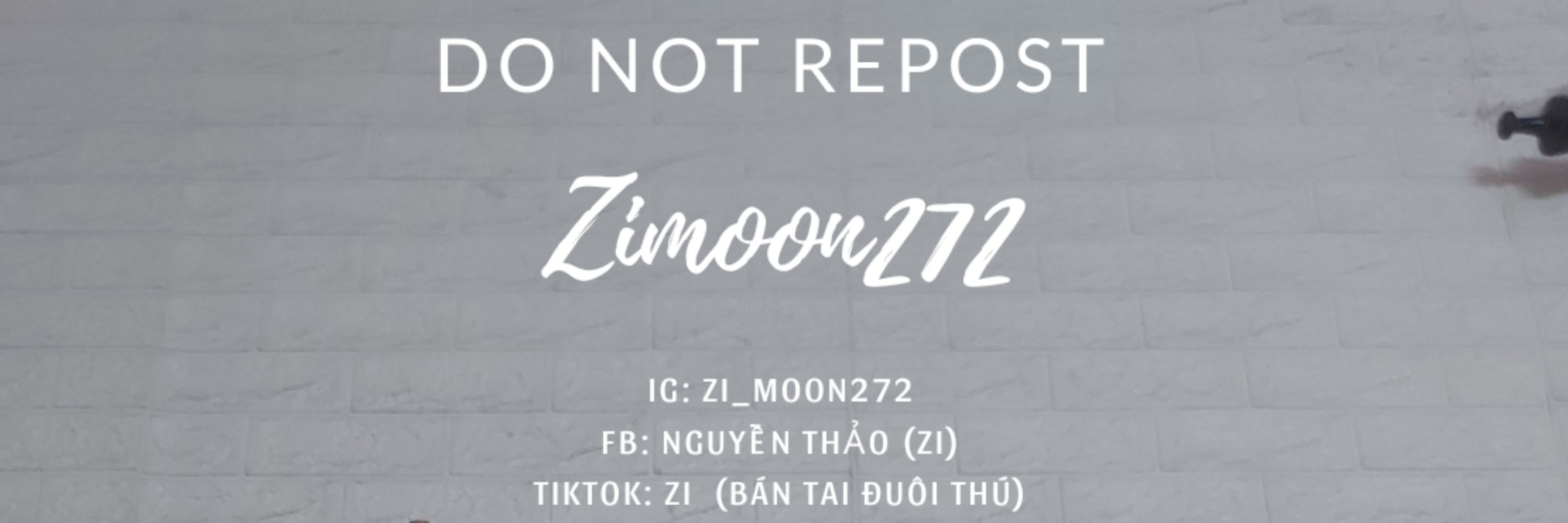 Zi 🐱🐰🦊🐶🦁🐯🐵🐺🦝🐷🐭🐹🐼🐨