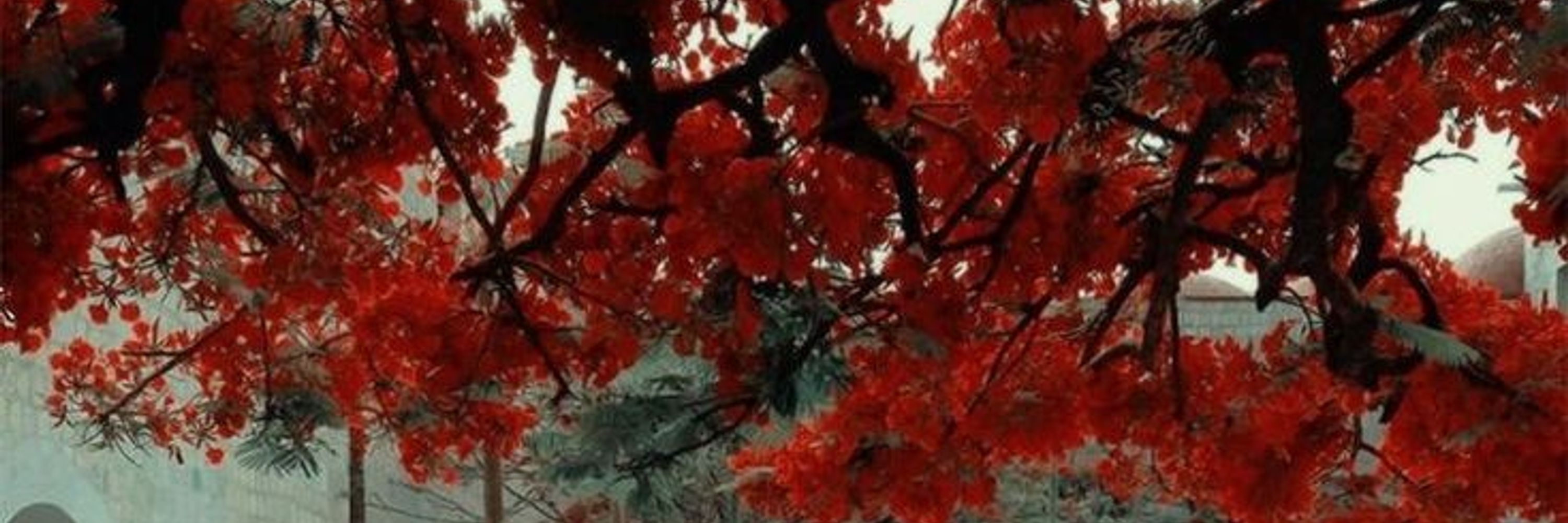 Riya/Candy Apple!! | 