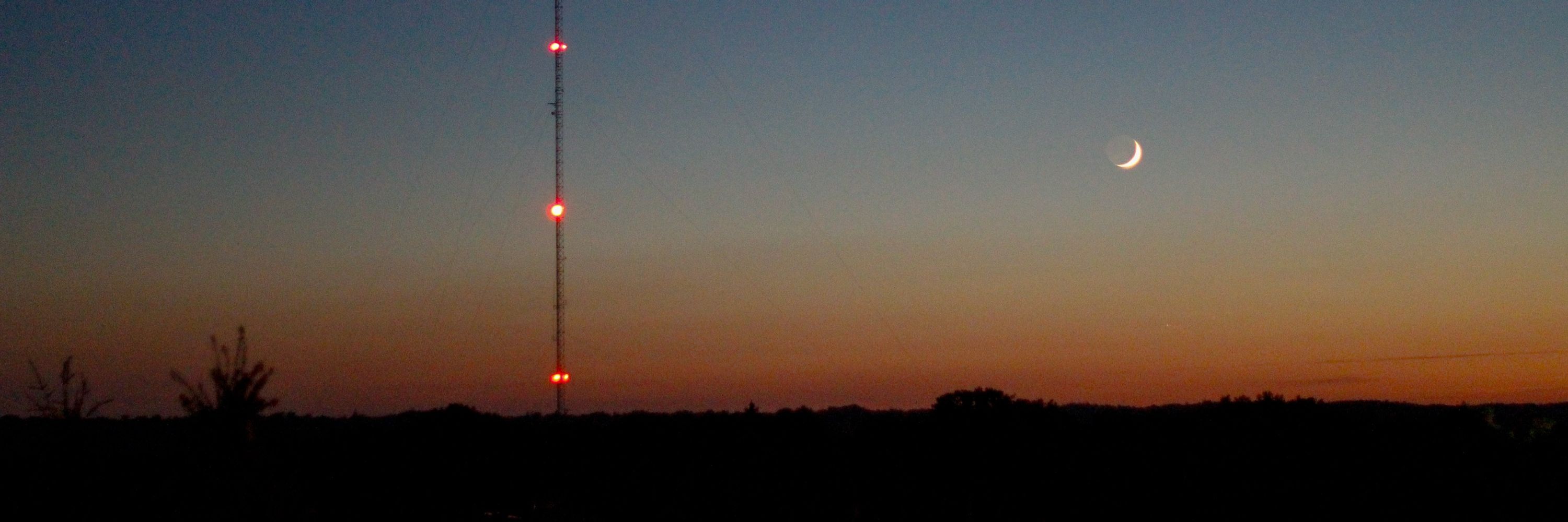 radioDarwin