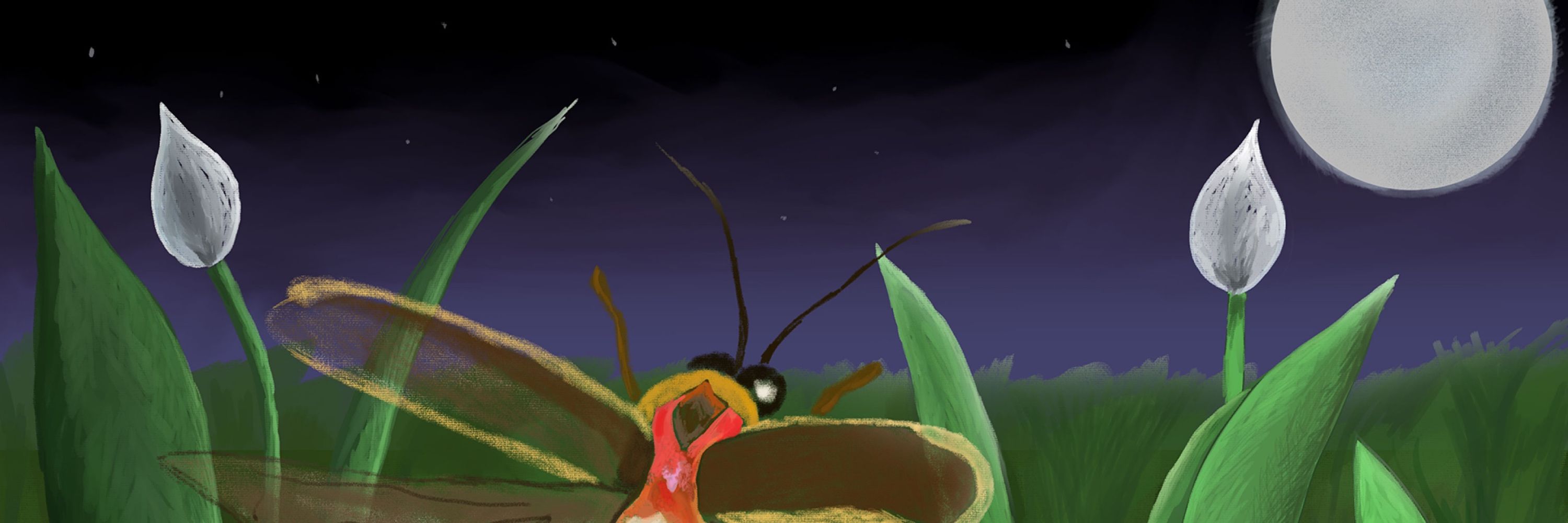 Setibug