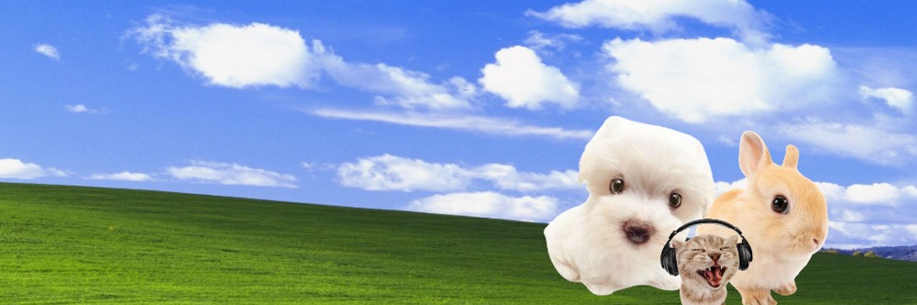 ˚₊‧꒰ა ☆ ໒꒱ ‧₊˚