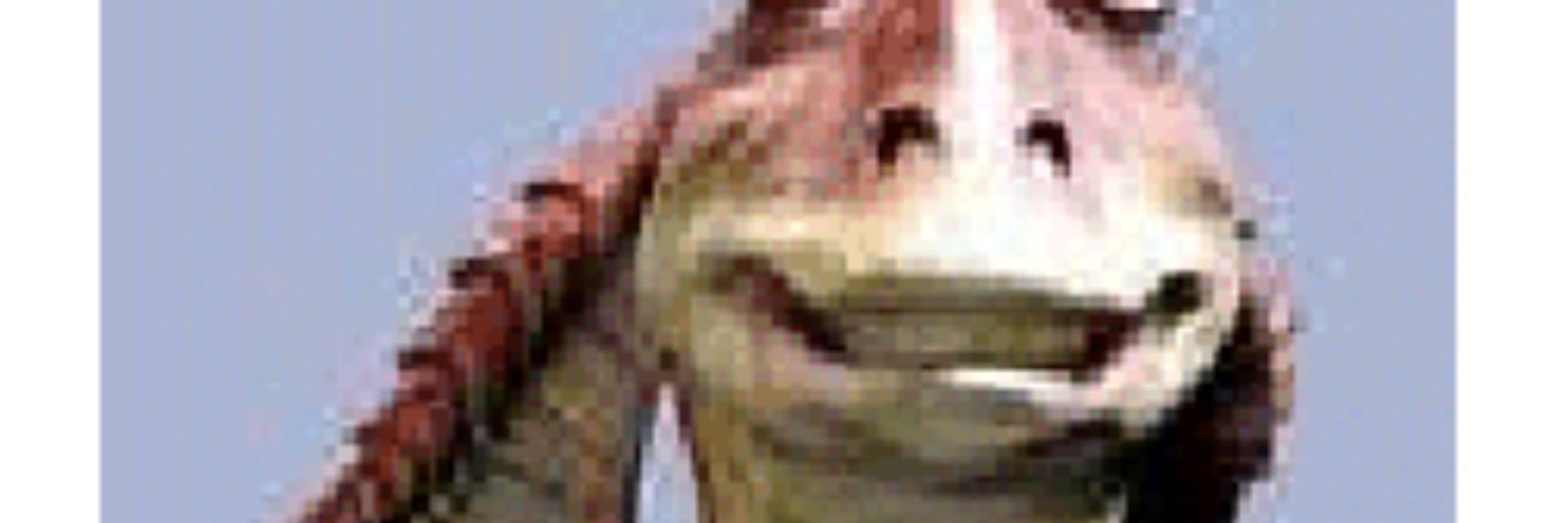 Didney Worl