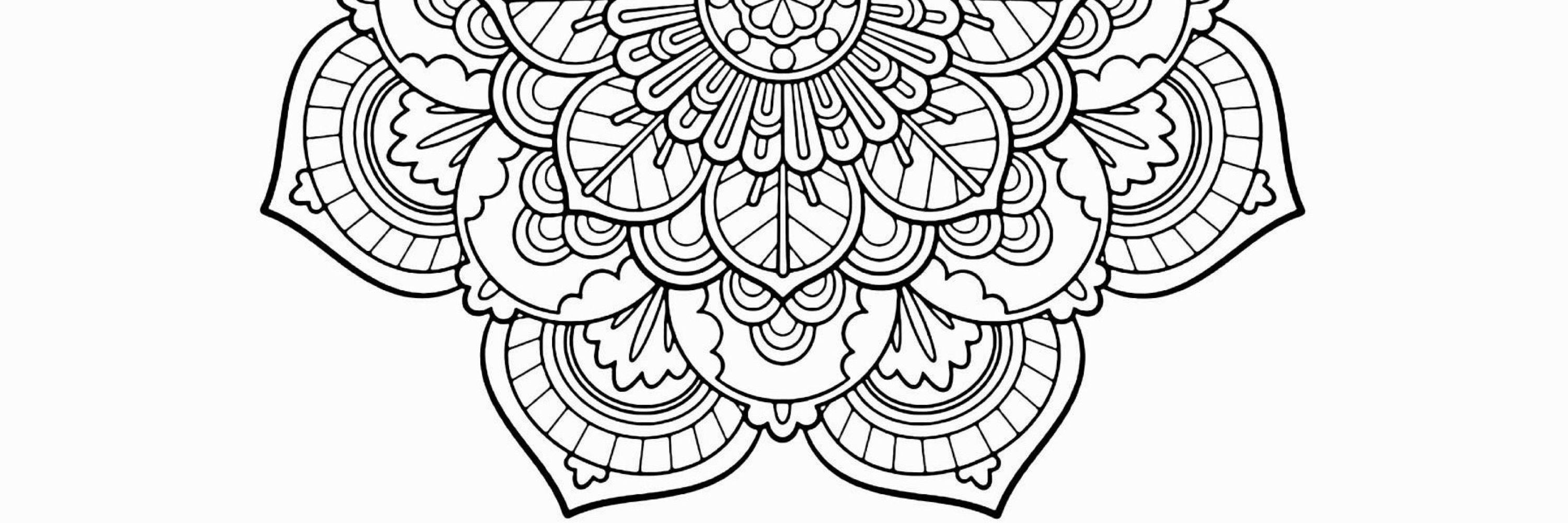 Karmadillo 