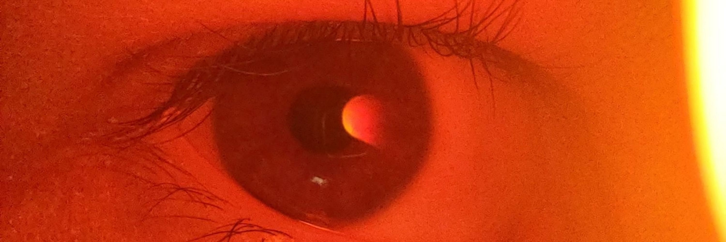 Blinding Poison